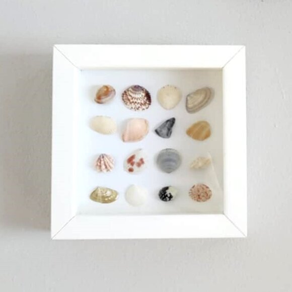 Framed seashell art - Picture 4 of 8